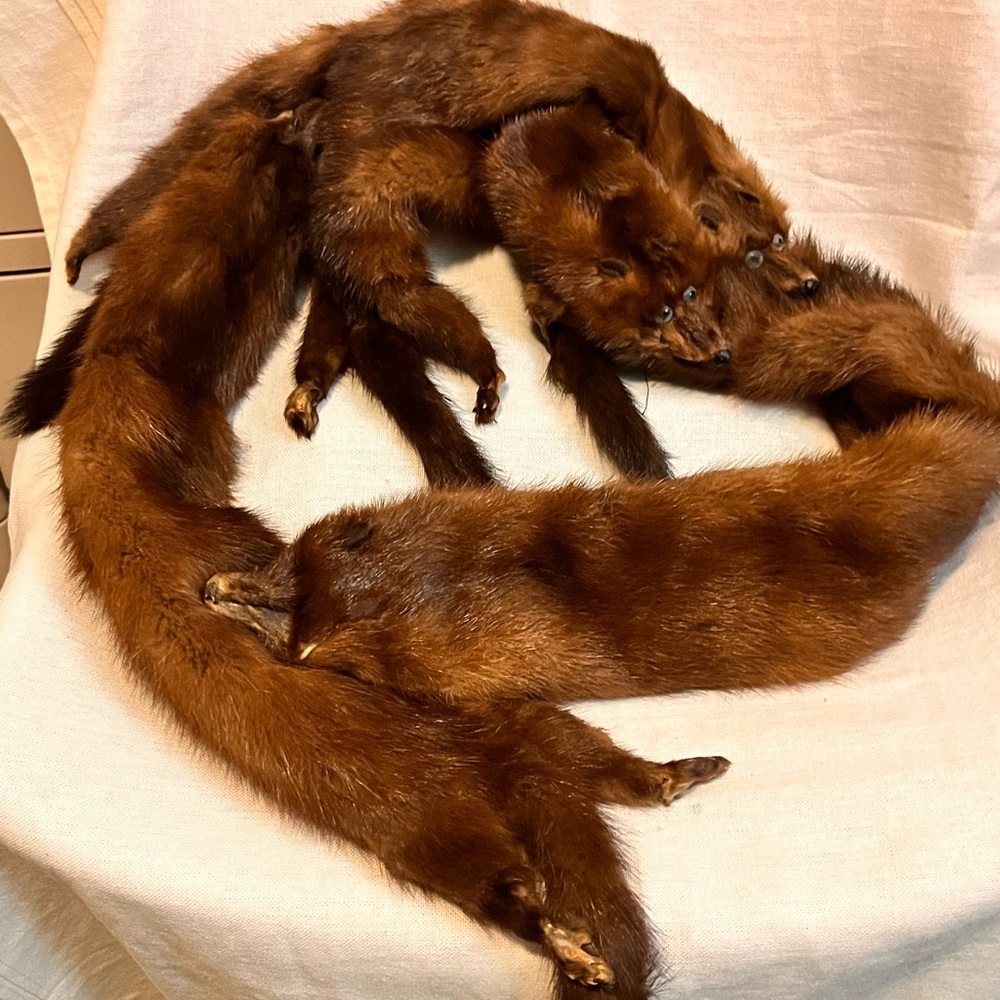 Vintage Brown Mink Fur Stole